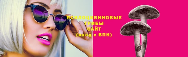 тгк Горно-Алтайск