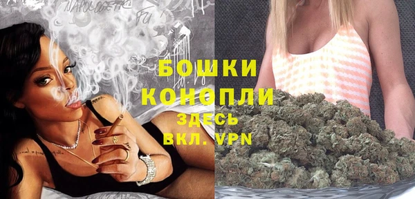 тгк Горно-Алтайск